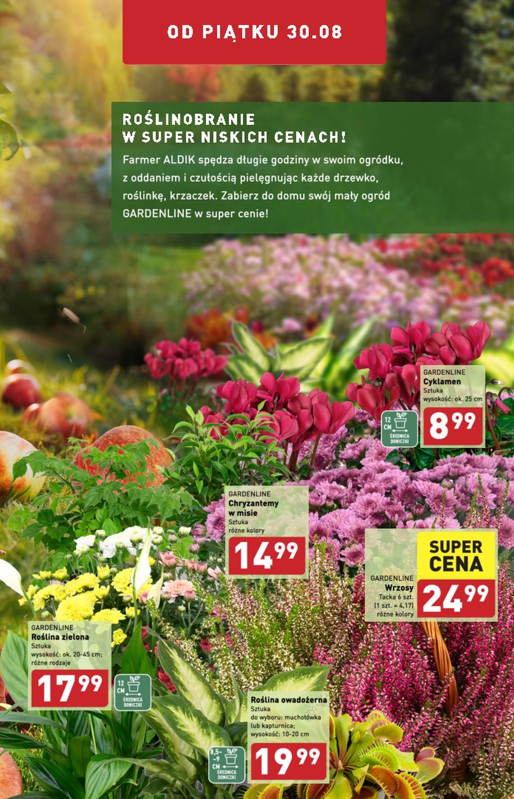 Gazetka promocyjna ALDI str. 2