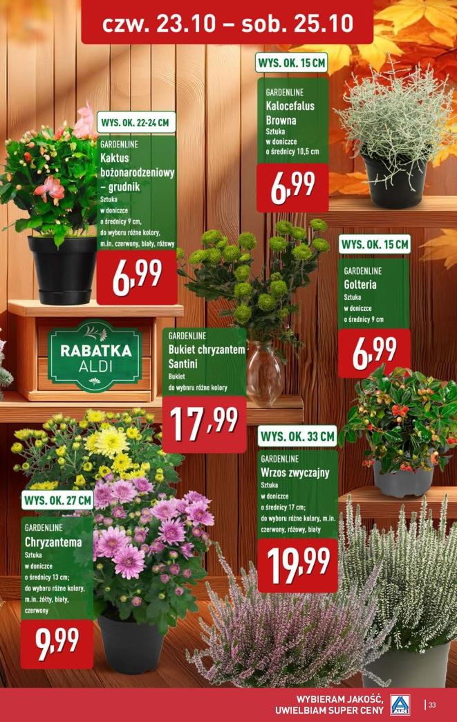 Gazetka promocyjna ALDI str. 33