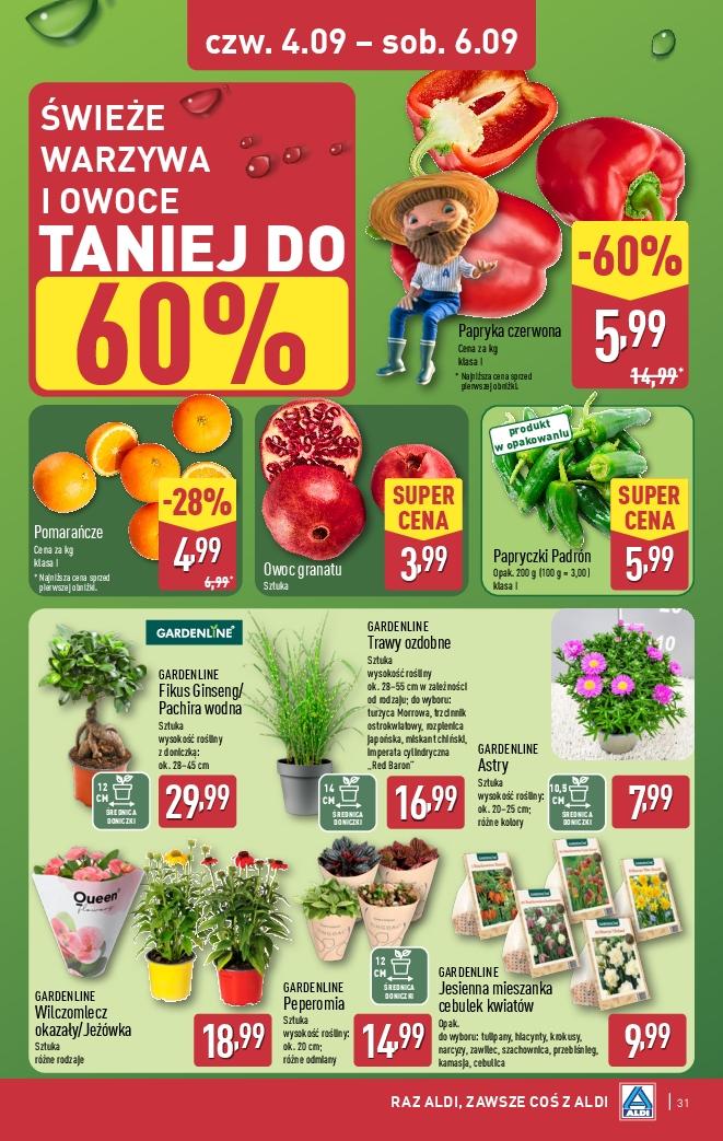 Gazetka promocyjna ALDI str. 31