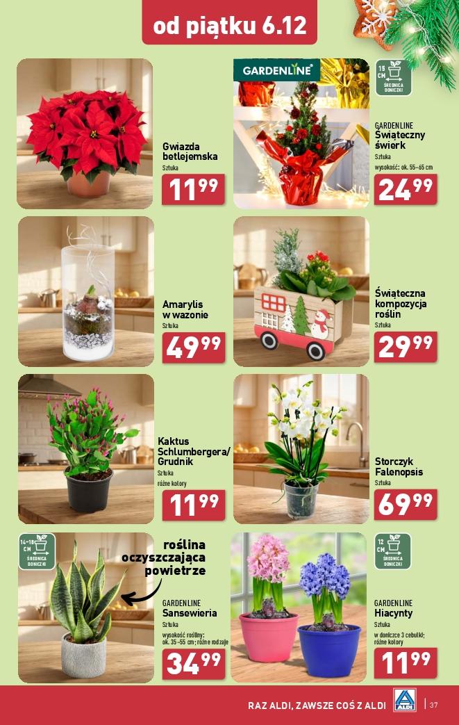 Gazetka promocyjna ALDI str. 37