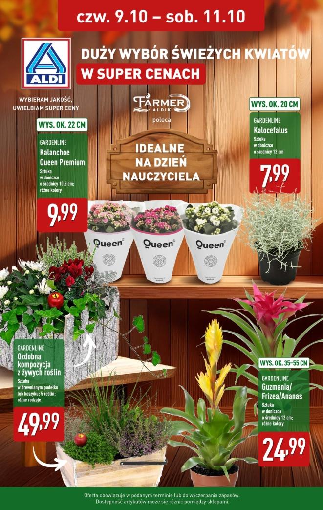 Gazetka promocyjna ALDI str. 1