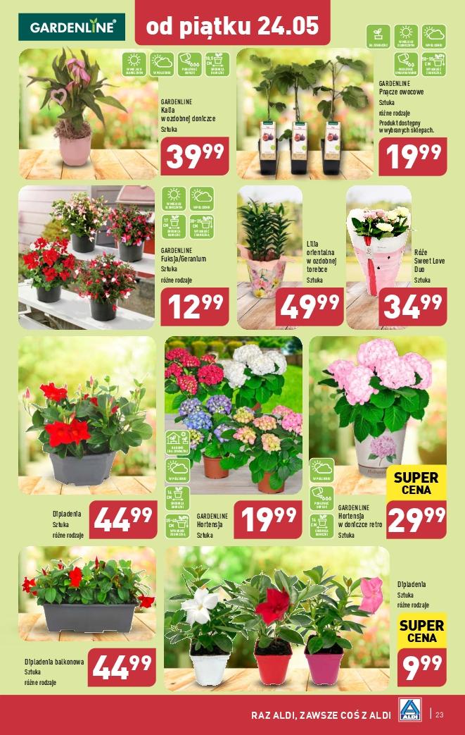 Gazetka promocyjna ALDI str. 23