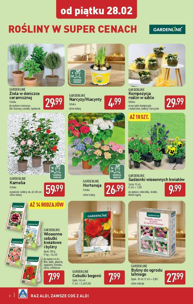 Gazetka promocyjna ALDI str. 6