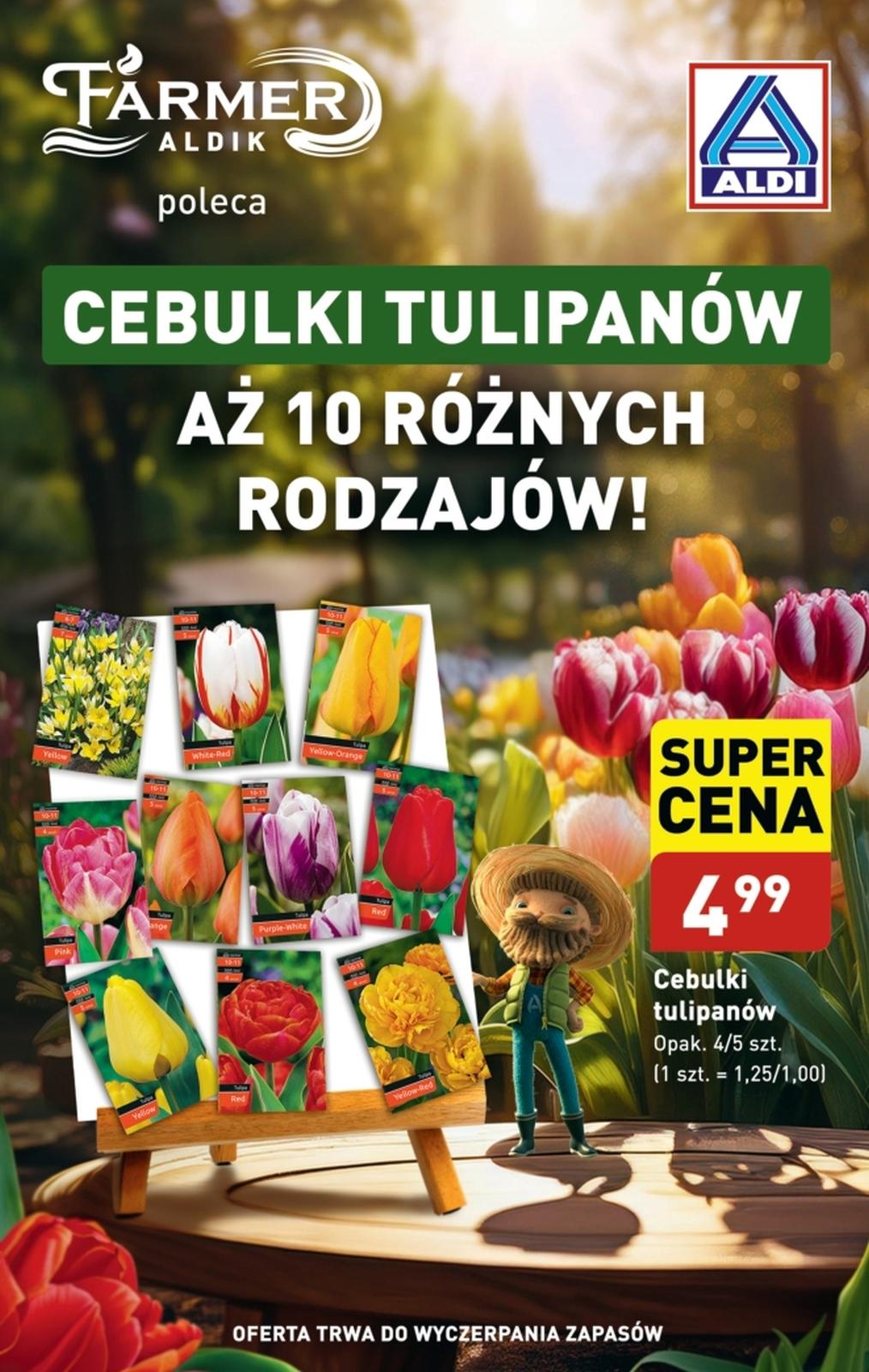 Gazetka promocyjna ALDI str. 41