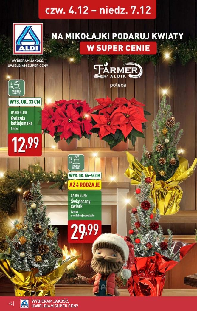 Gazetka promocyjna ALDI str. 42