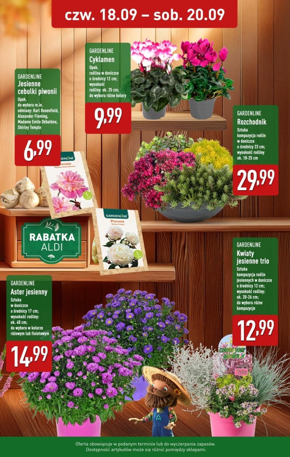 Gazetka promocyjna ALDI str. 3
