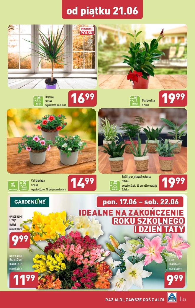 Gazetka promocyjna ALDI str. 23