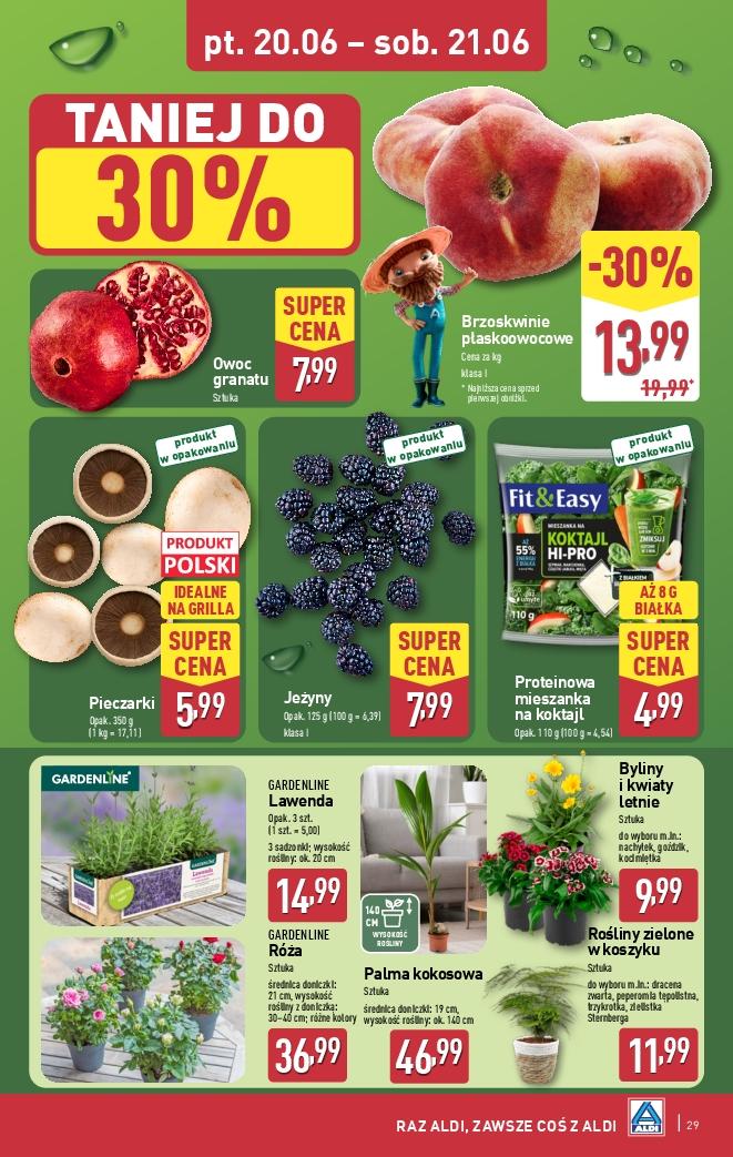 Gazetka promocyjna ALDI str. 29
