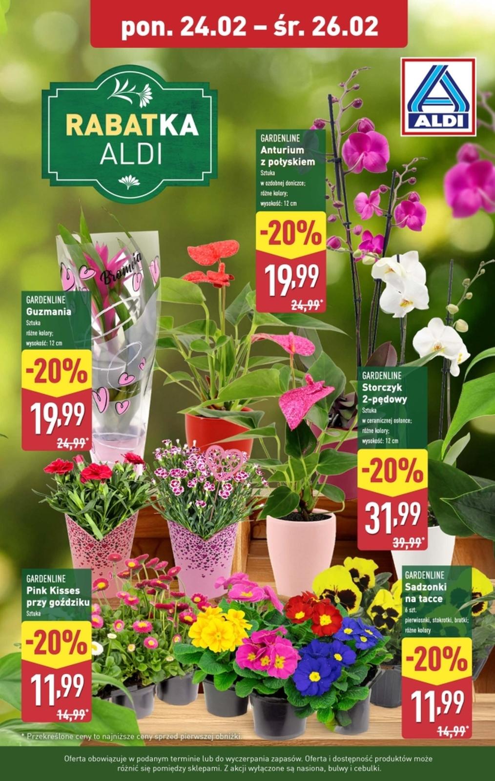 Gazetka promocyjna ALDI str. 2
