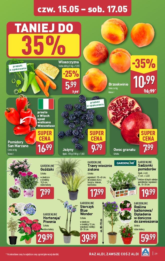 Gazetka promocyjna ALDI str. 29