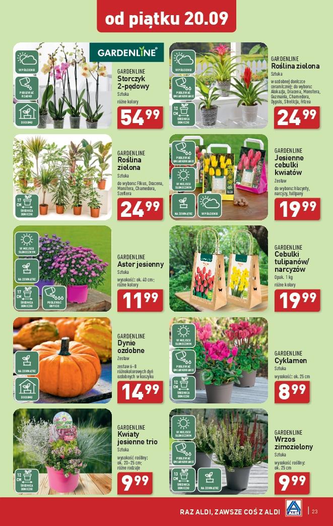 Gazetka promocyjna ALDI str. 23