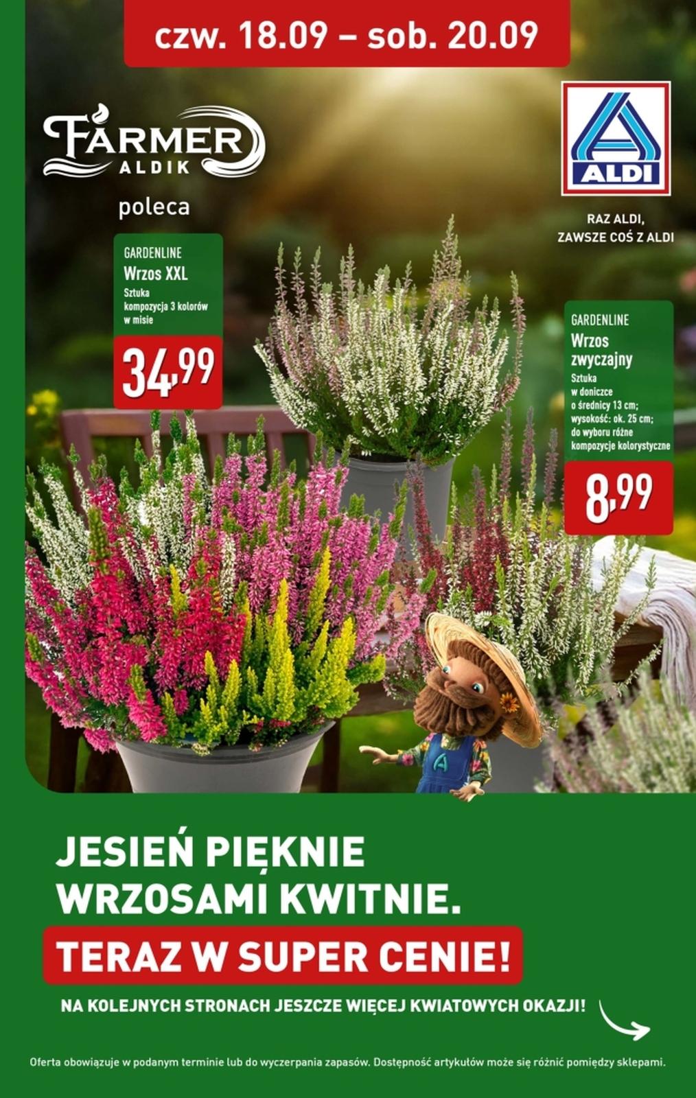 Gazetka promocyjna ALDI str. 1