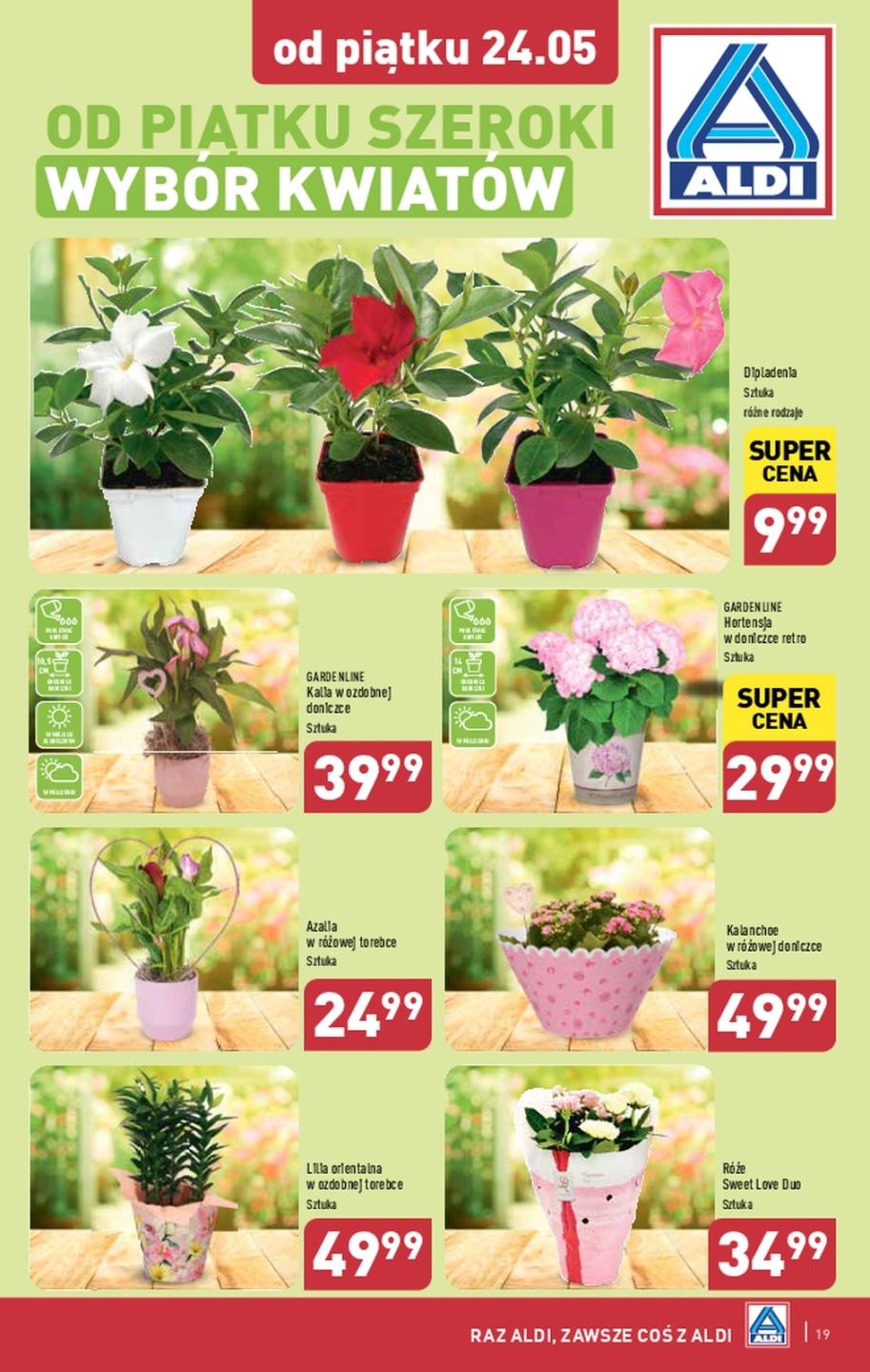 Gazetka promocyjna ALDI str. 1