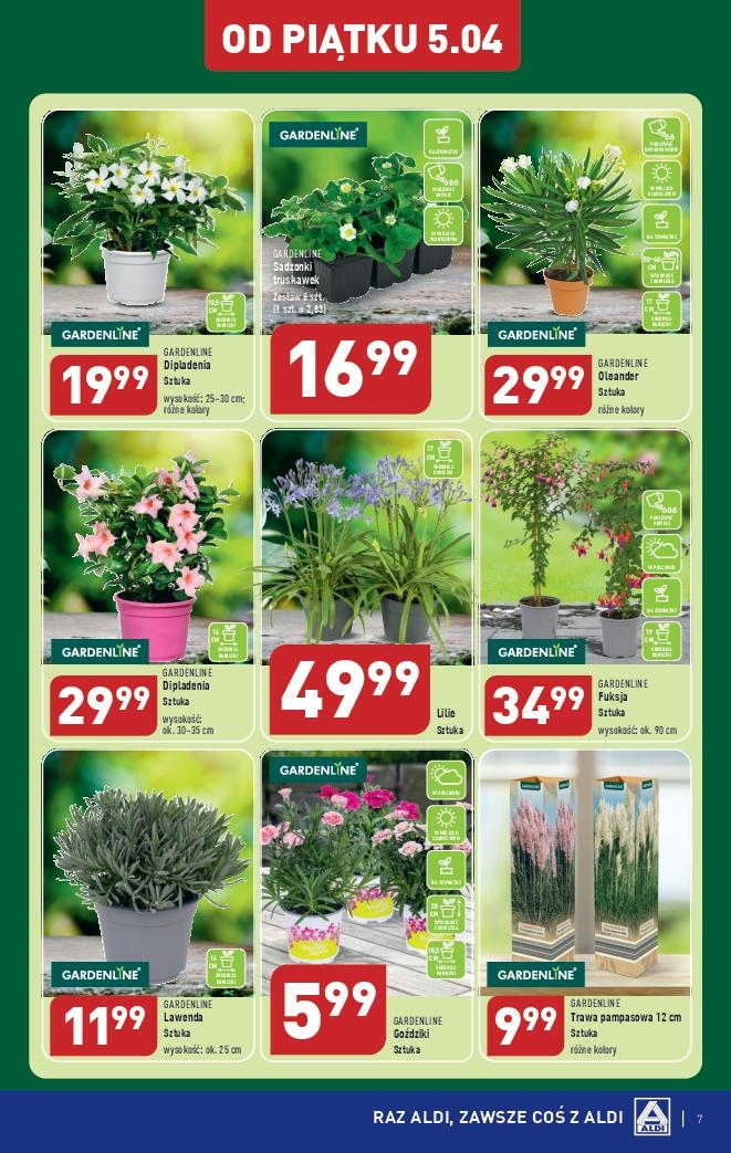 Gazetka promocyjna ALDI str. 7
