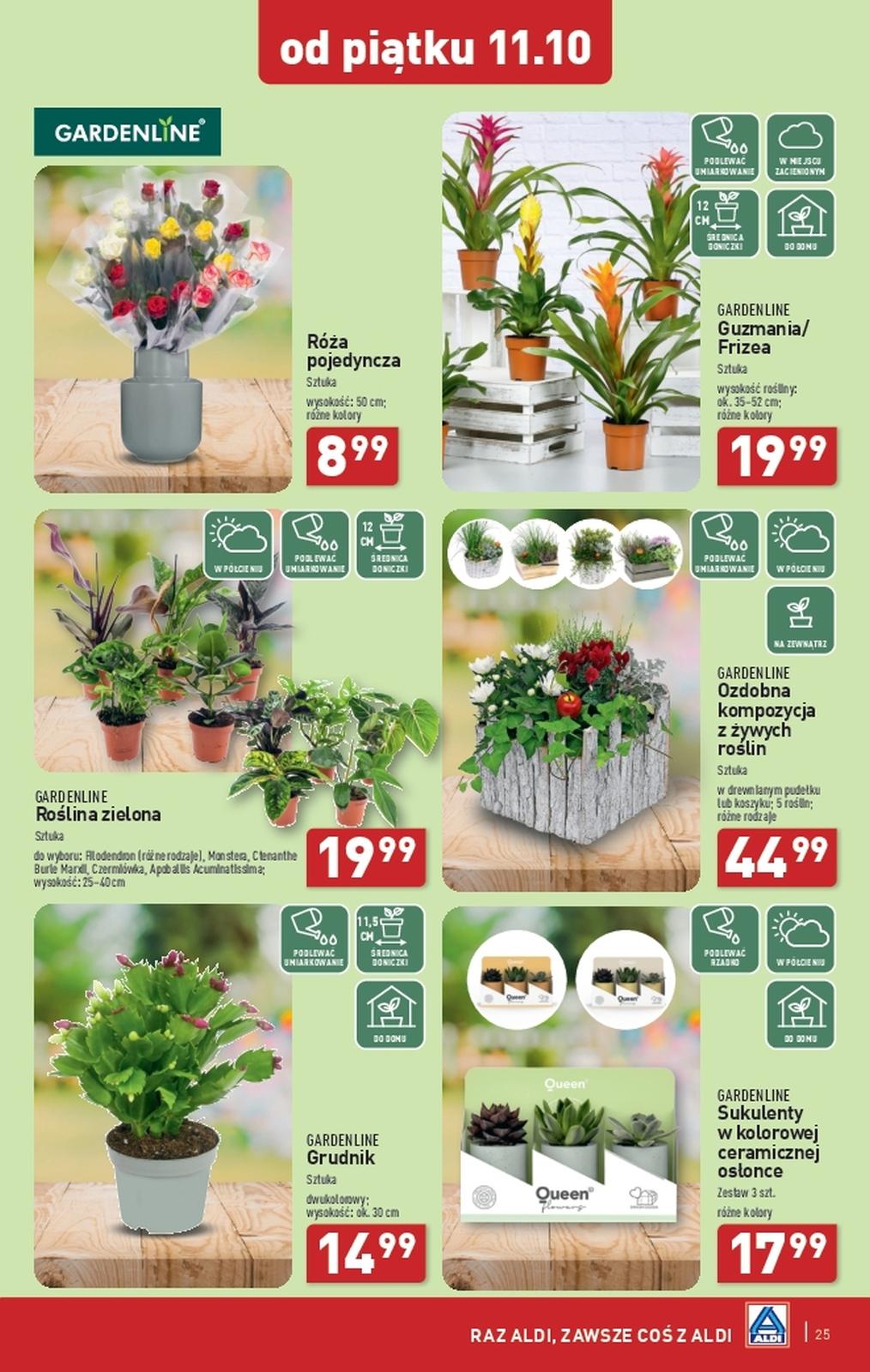 Gazetka promocyjna ALDI str. 25