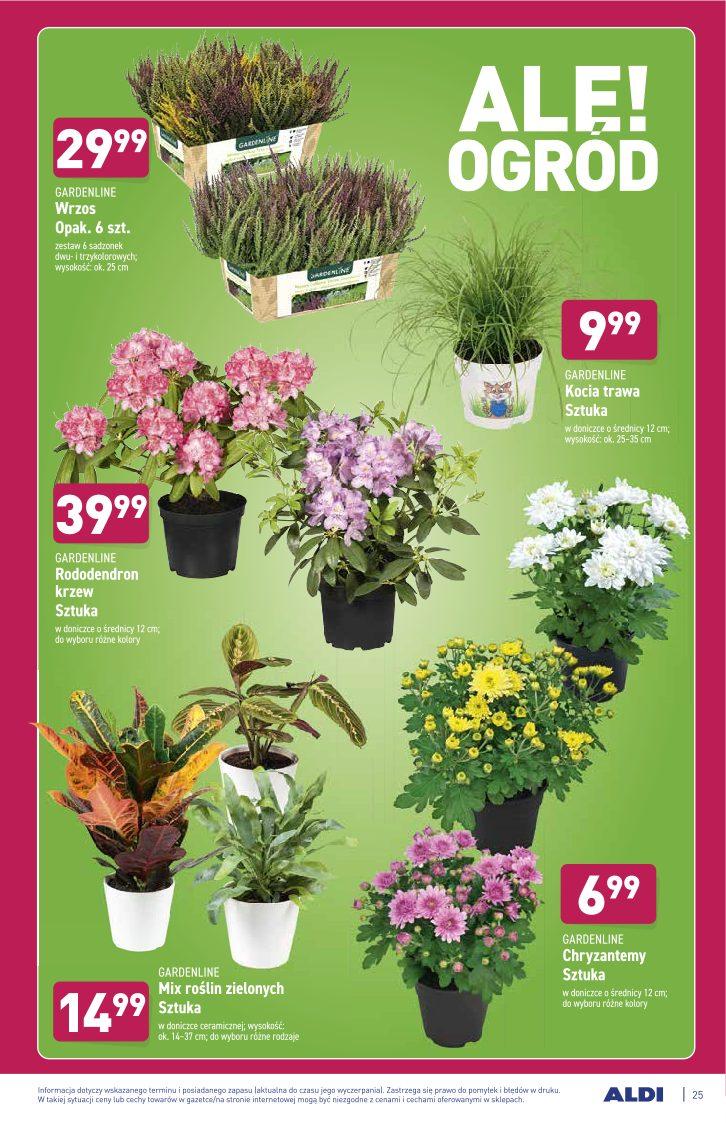 Gazetka promocyjna ALDI str. 25