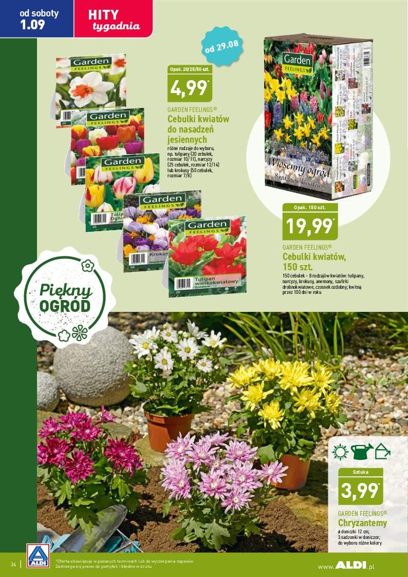Gazetka promocyjna ALDI str. 34