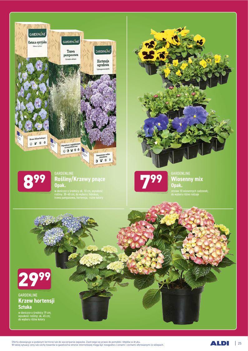 Gazetka promocyjna ALDI str. 25