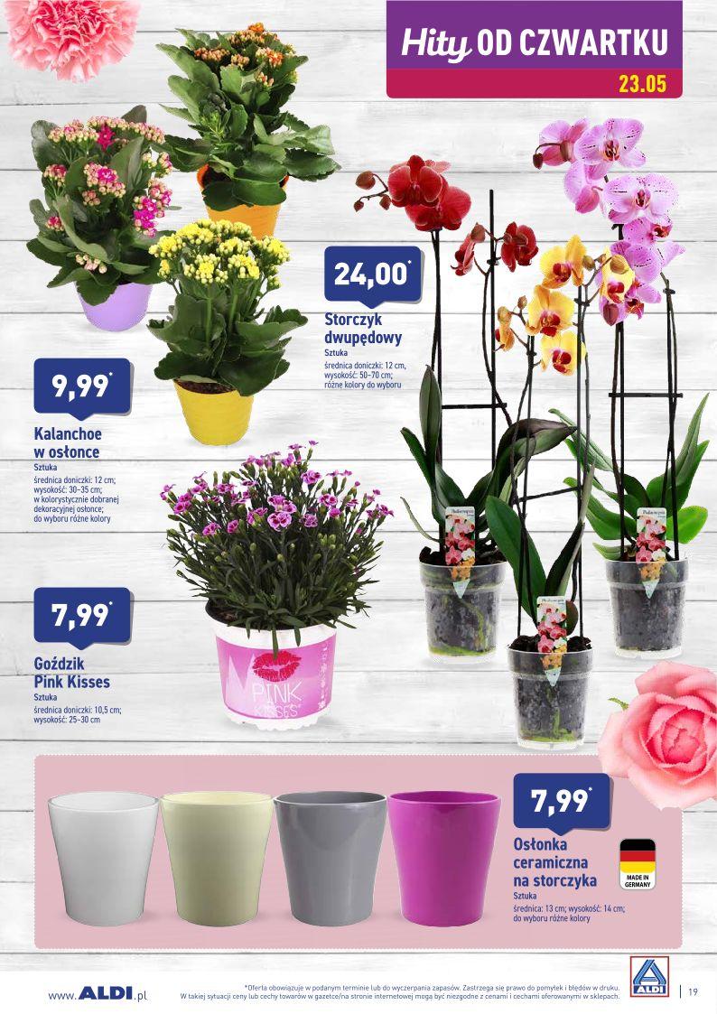 Gazetka promocyjna ALDI str. 19