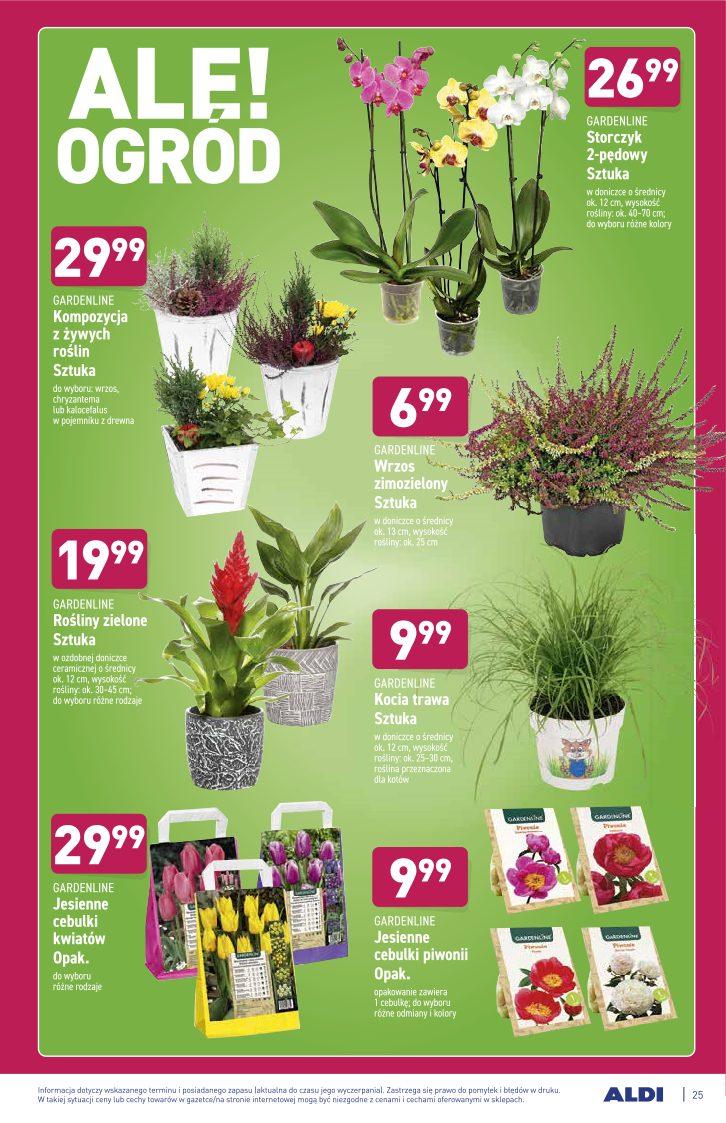 Gazetka promocyjna ALDI str. 25