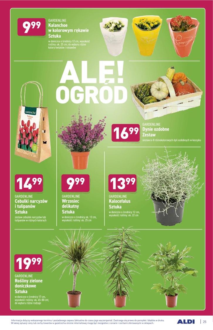 Gazetka promocyjna ALDI str. 25