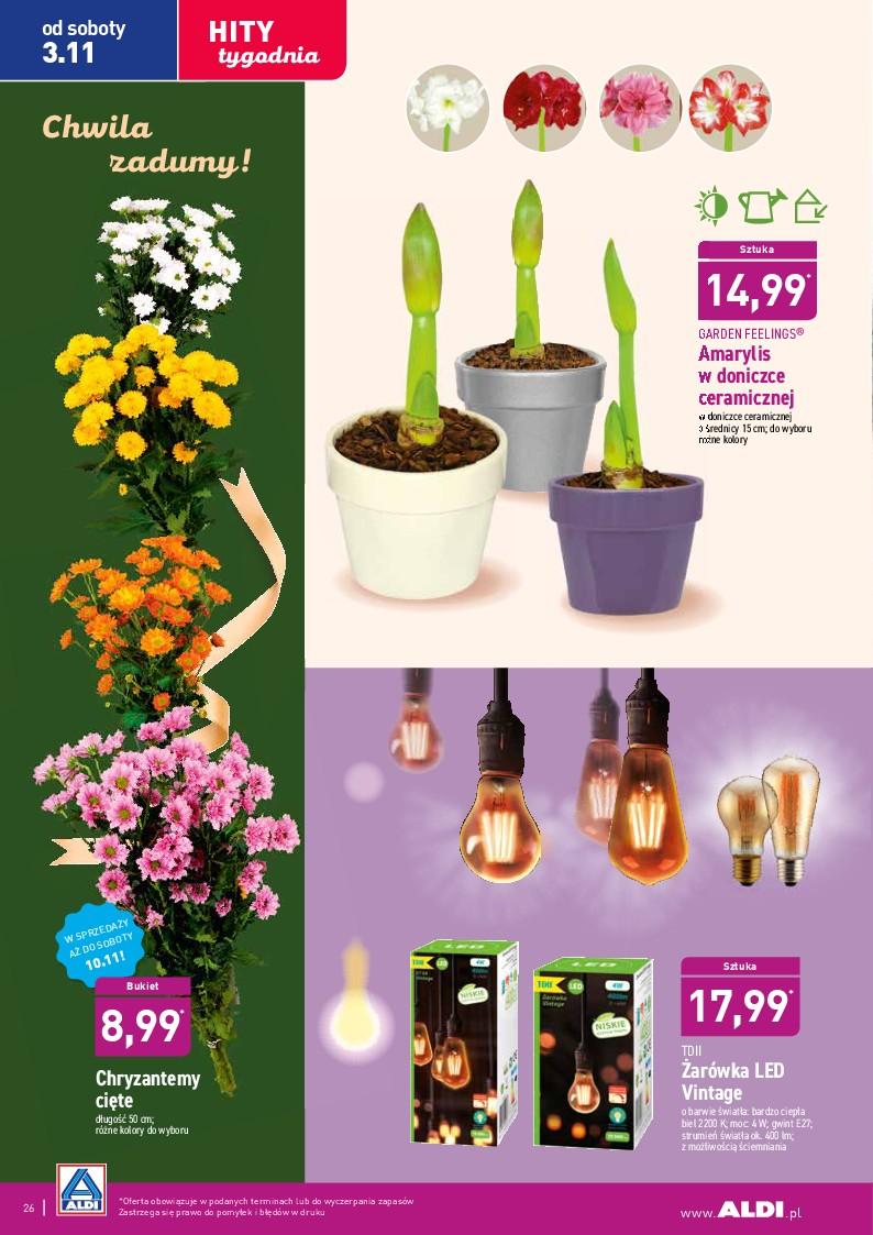 Gazetka promocyjna ALDI str. 26