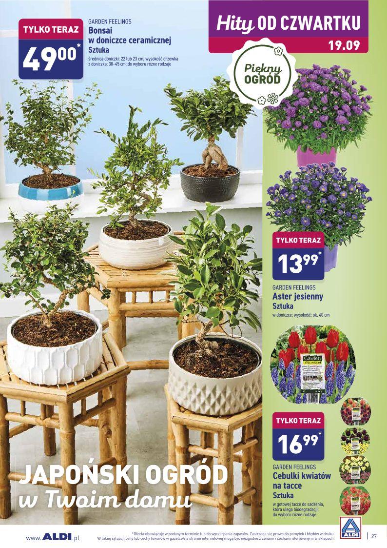 Gazetka promocyjna ALDI str. 27