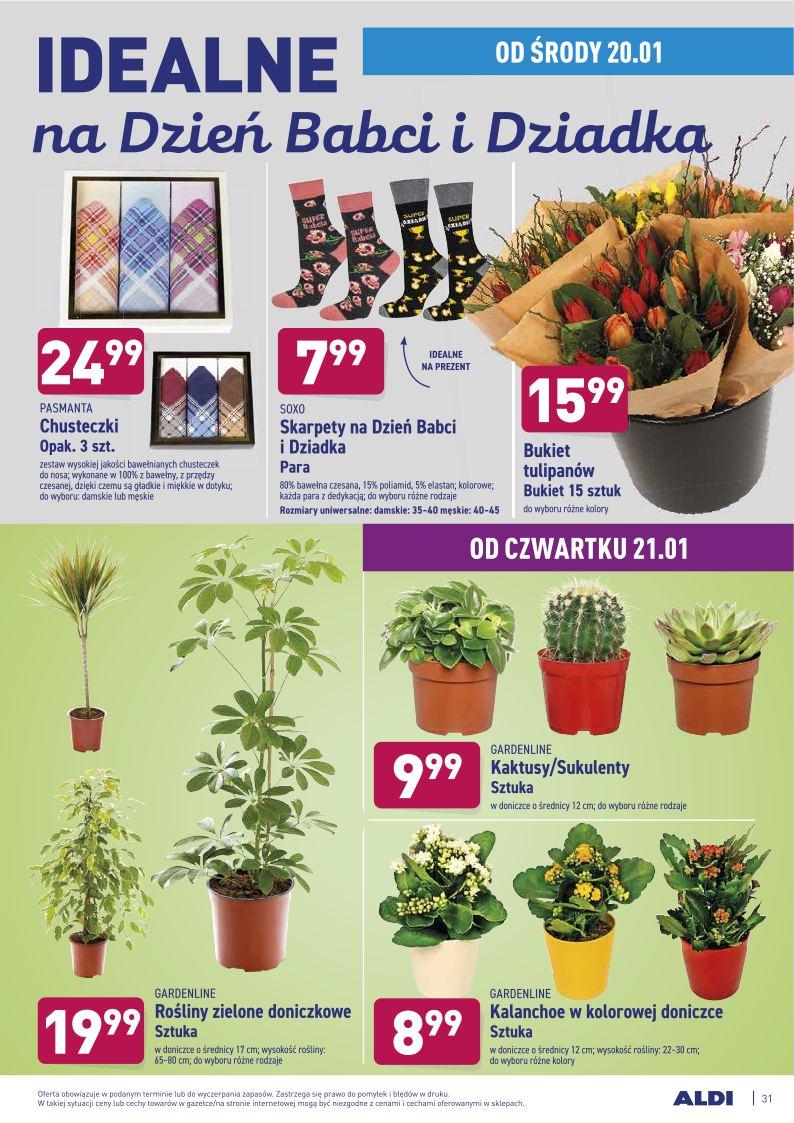 Gazetka promocyjna ALDI str. 31