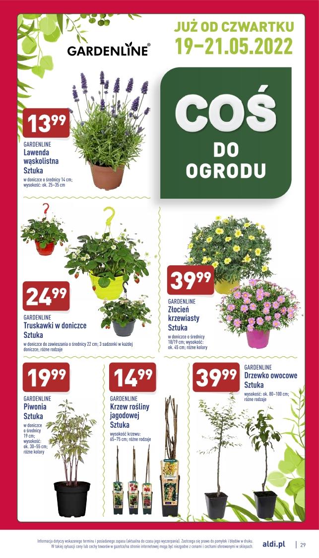 Gazetka promocyjna ALDI str. 29