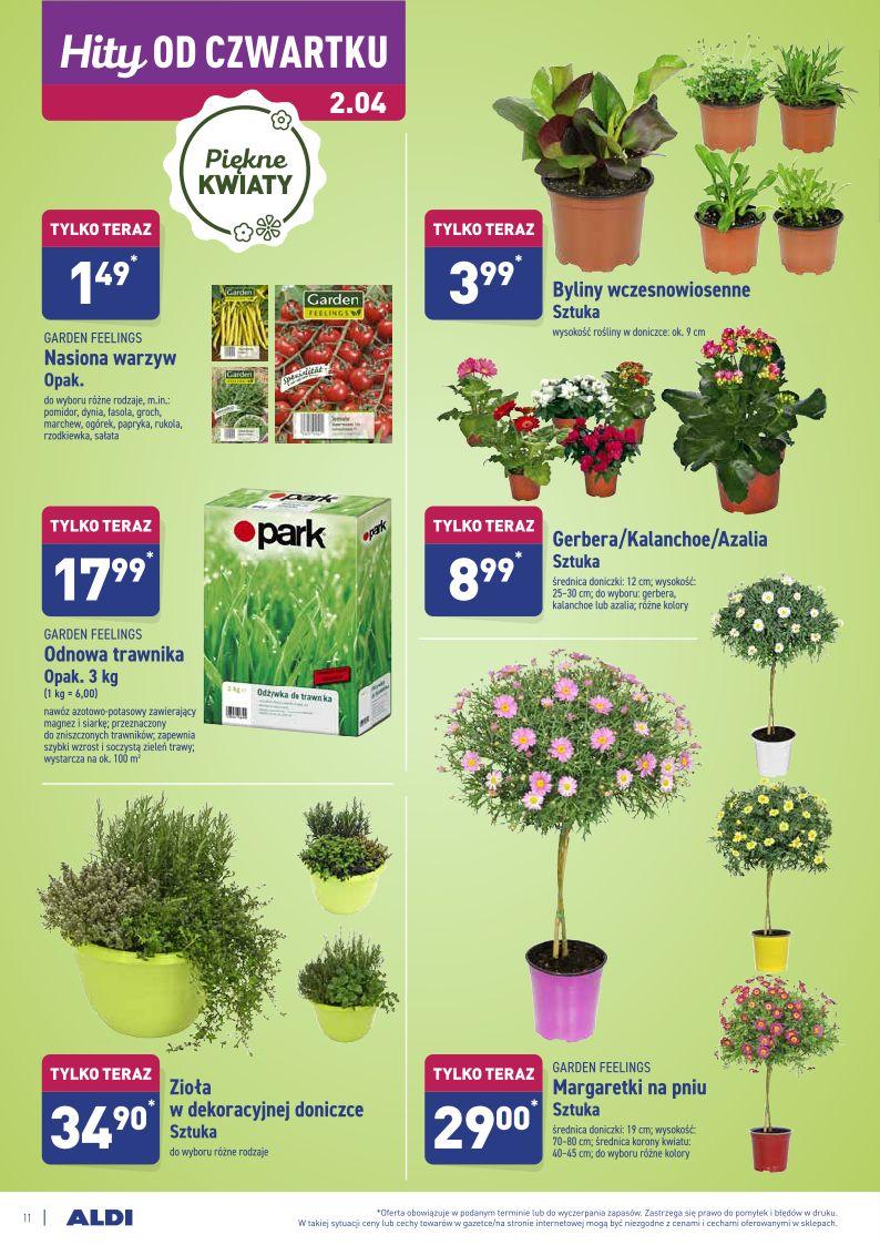 Gazetka promocyjna ALDI str. 11