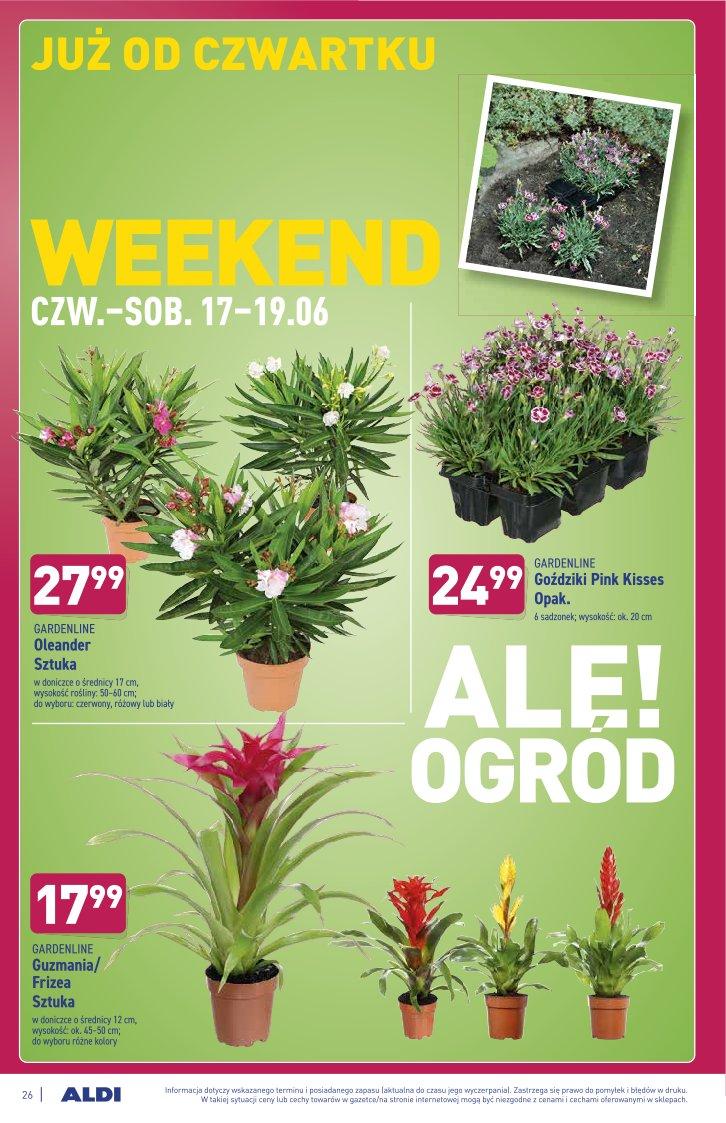 Gazetka promocyjna ALDI str. 26