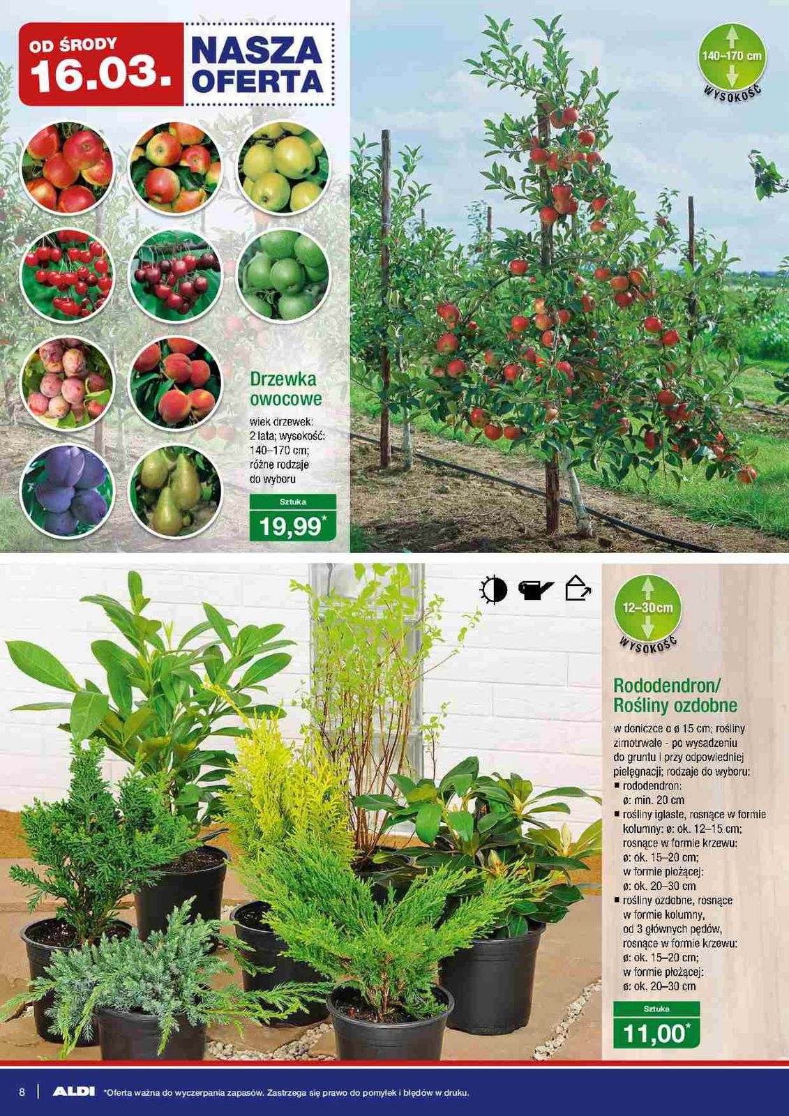 Gazetka promocyjna ALDI str. 8
