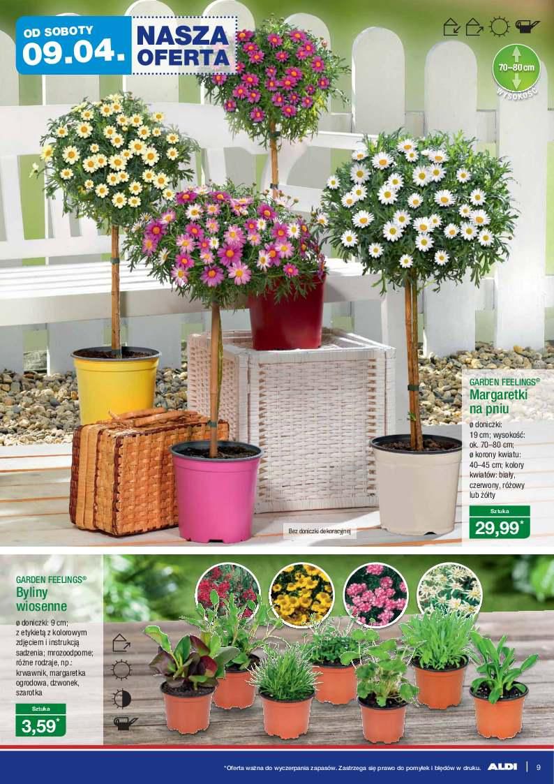 Gazetka promocyjna ALDI str. 9