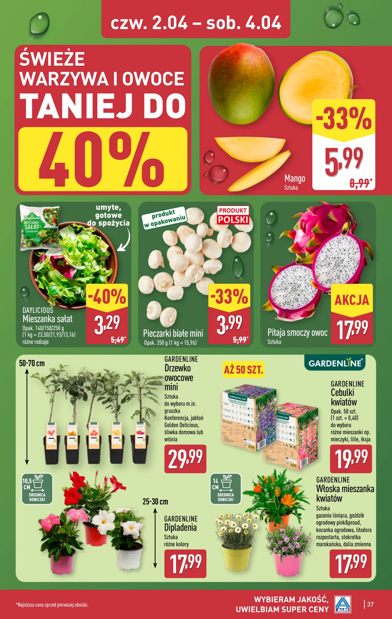 Gazetka promocyjna ALDI str. 37