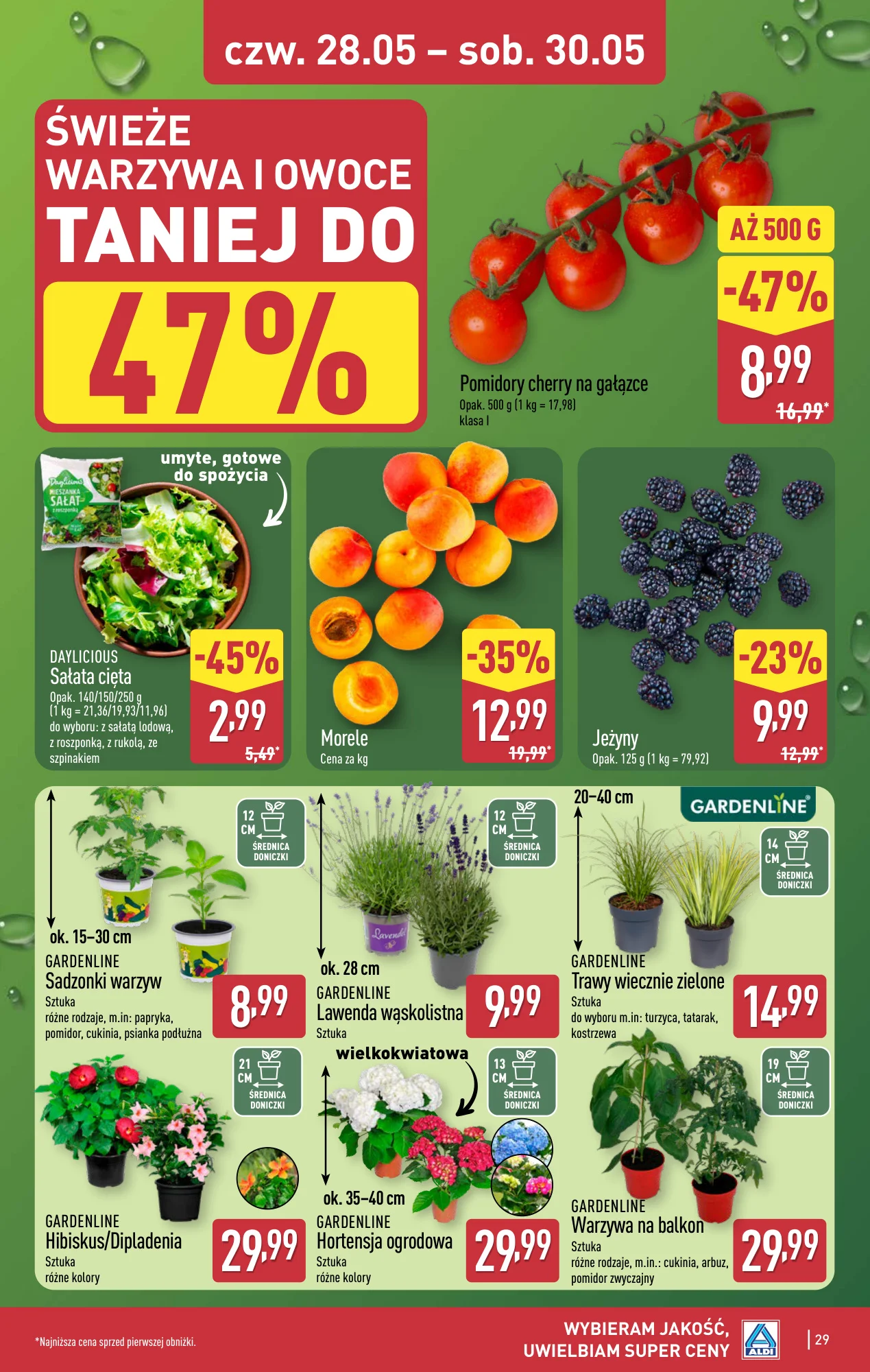 Gazetka promocyjna ALDI str. 29