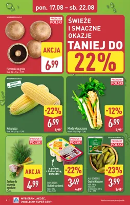 Katalog Aldi