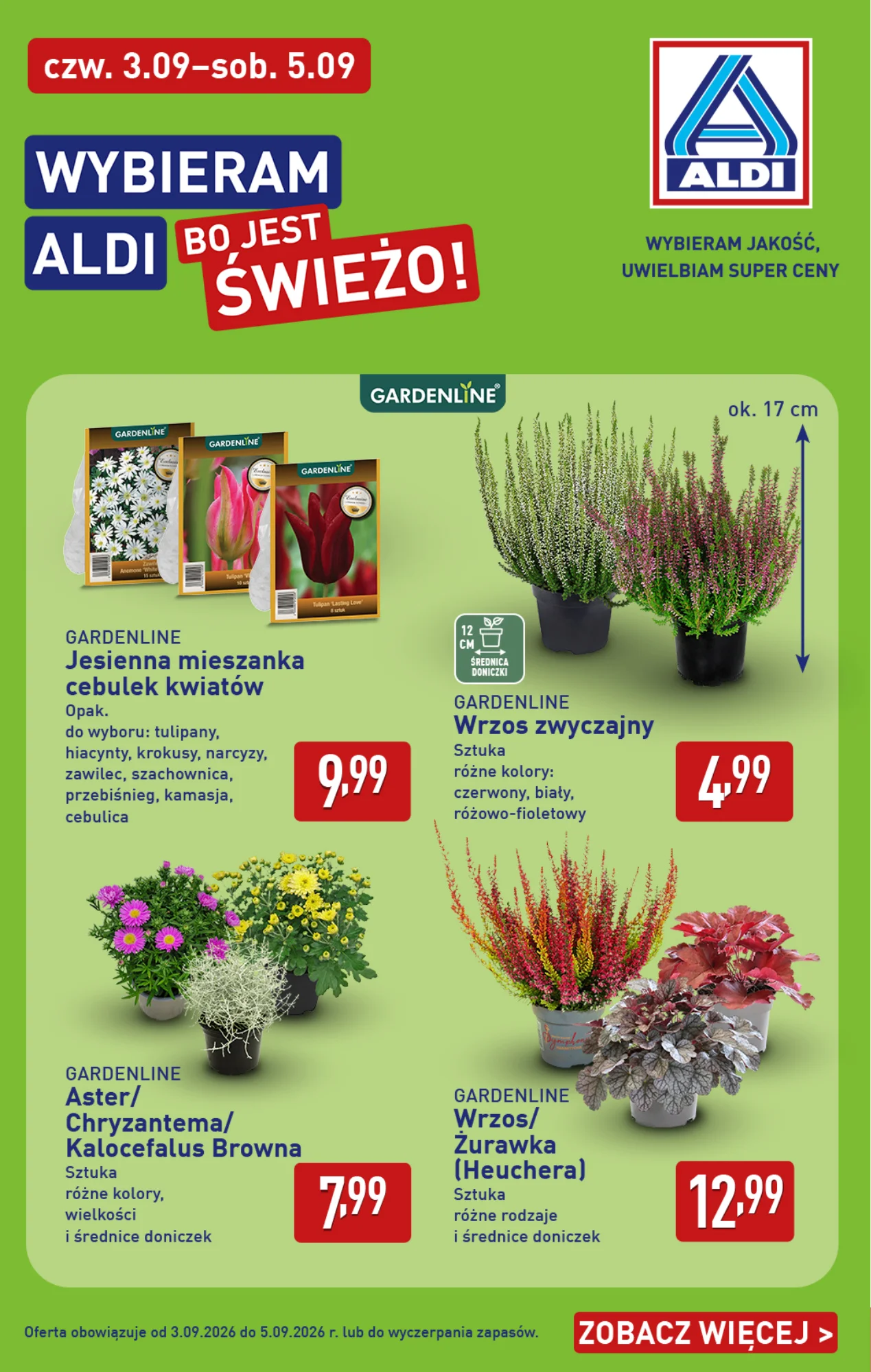 Gazetka promocyjna ALDI str. 38