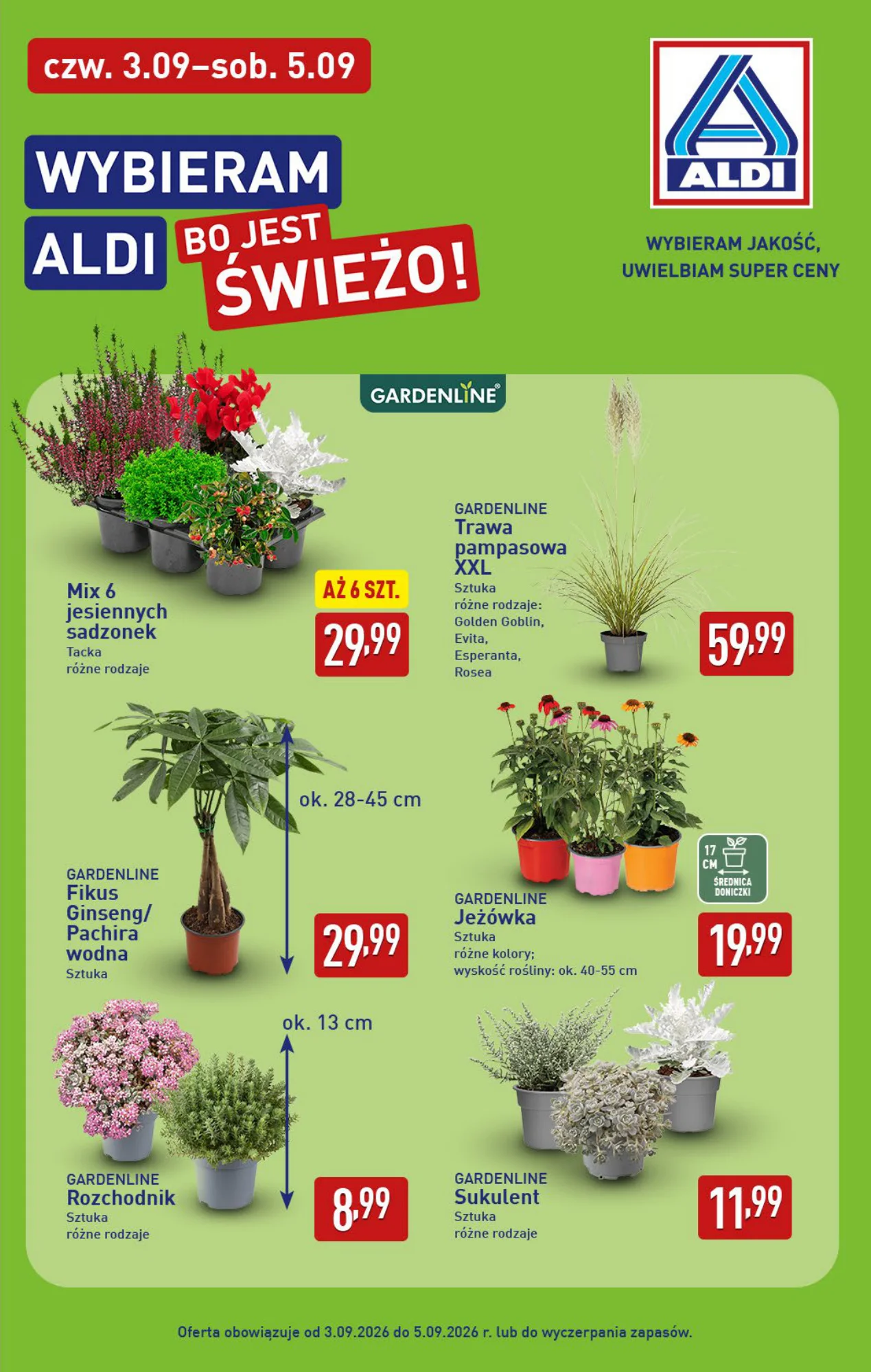 Gazetka promocyjna ALDI str. 39