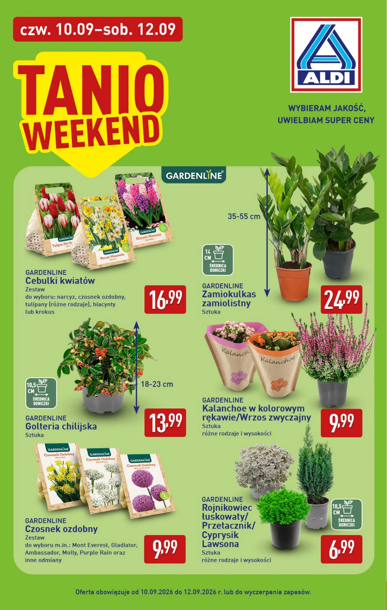 Gazetka promocyjna ALDI str. 34