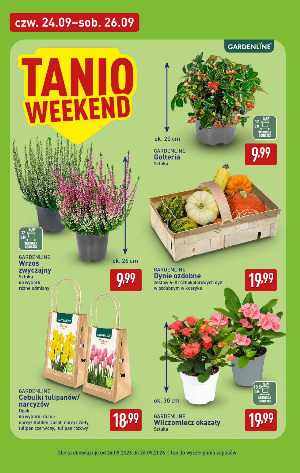 Gazetka promocyjna ALDI str. 38