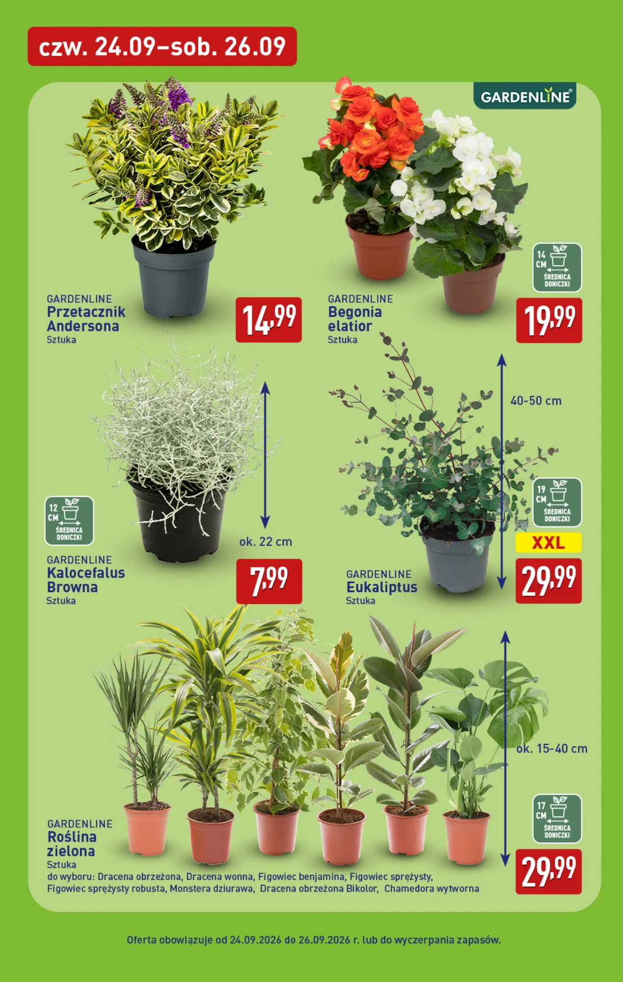 Gazetka promocyjna ALDI str. 39