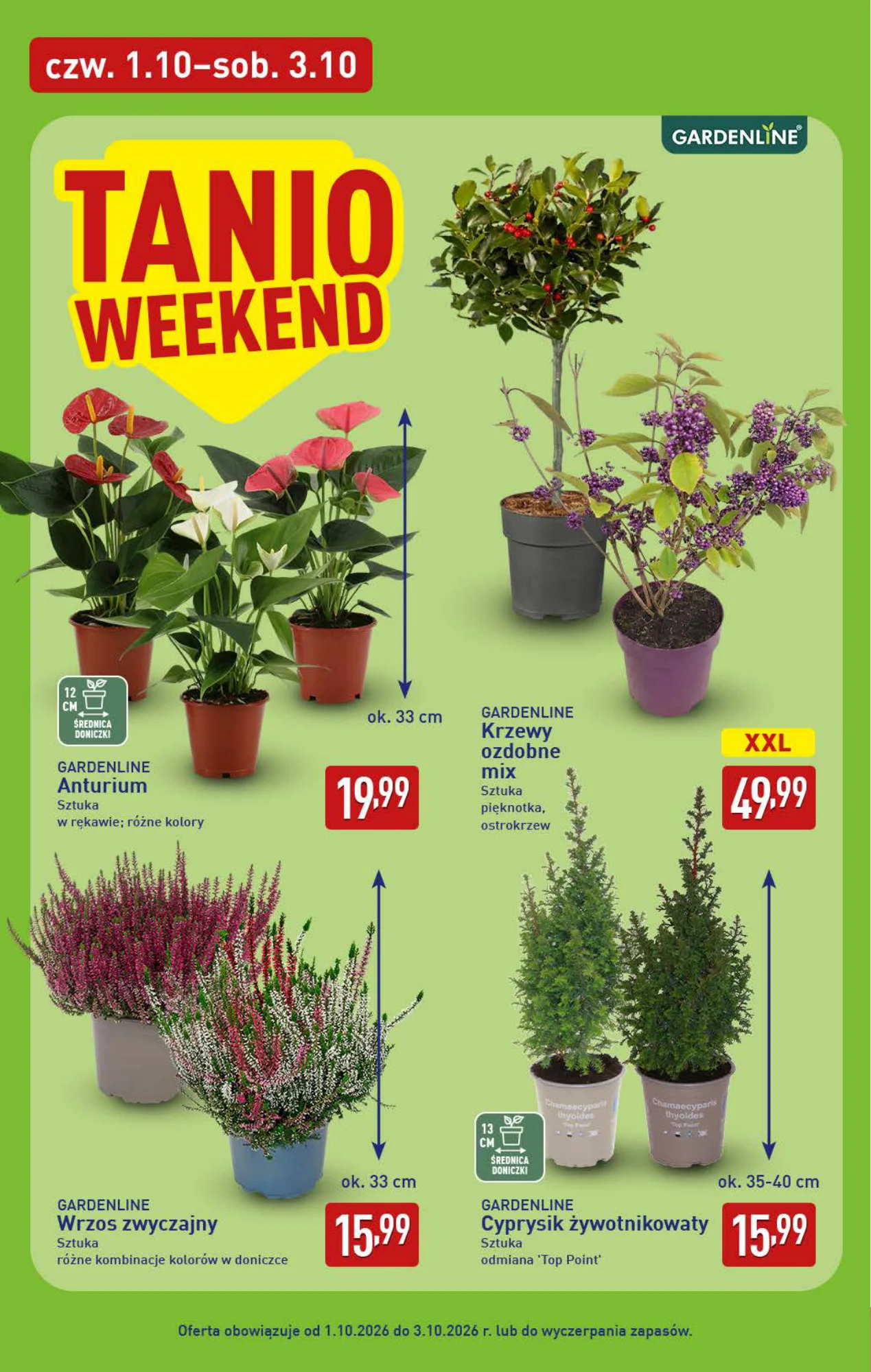 Gazetka promocyjna ALDI str. 6