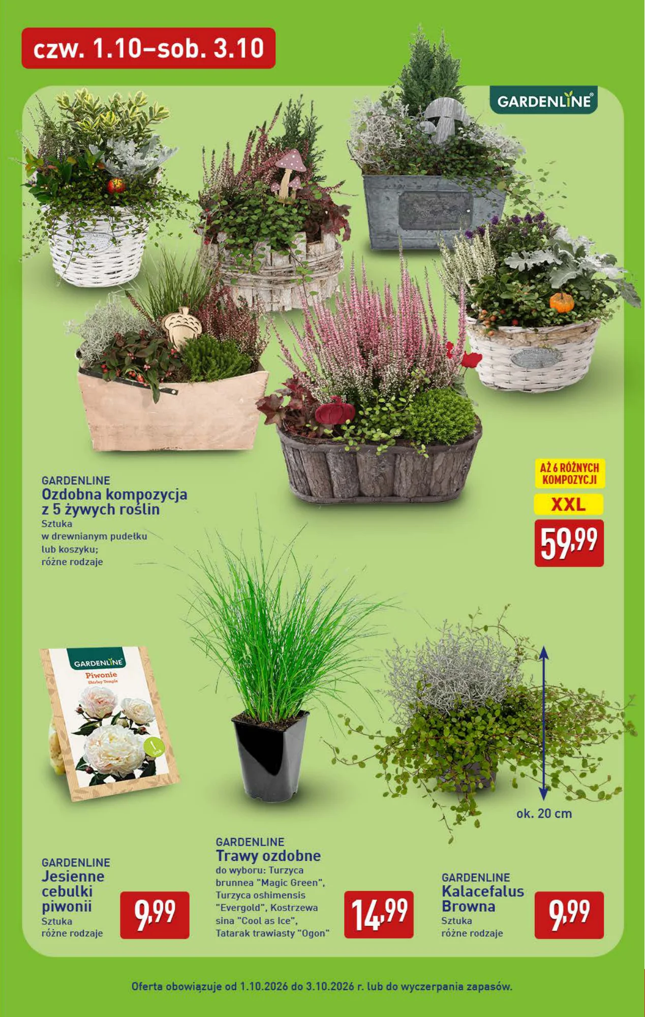 Gazetka promocyjna ALDI str. 7