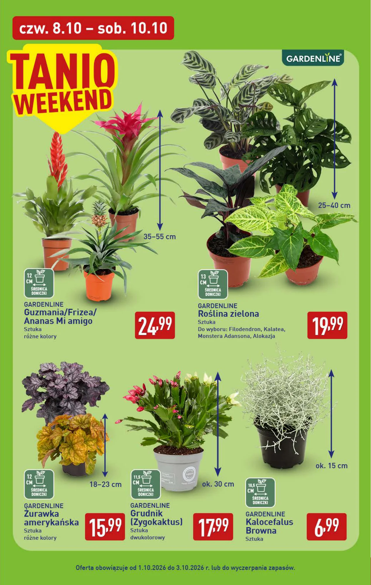 Gazetka promocyjna ALDI str. 39