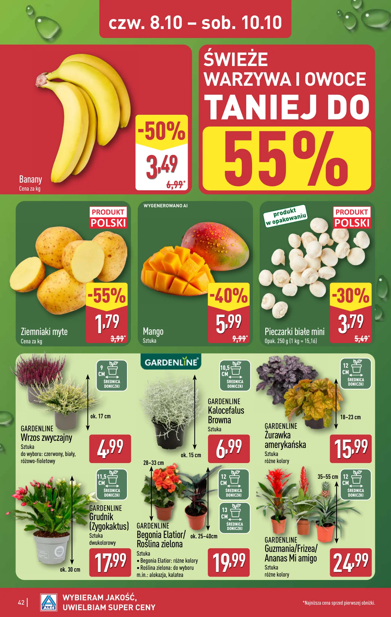 Gazetka promocyjna ALDI str. 42