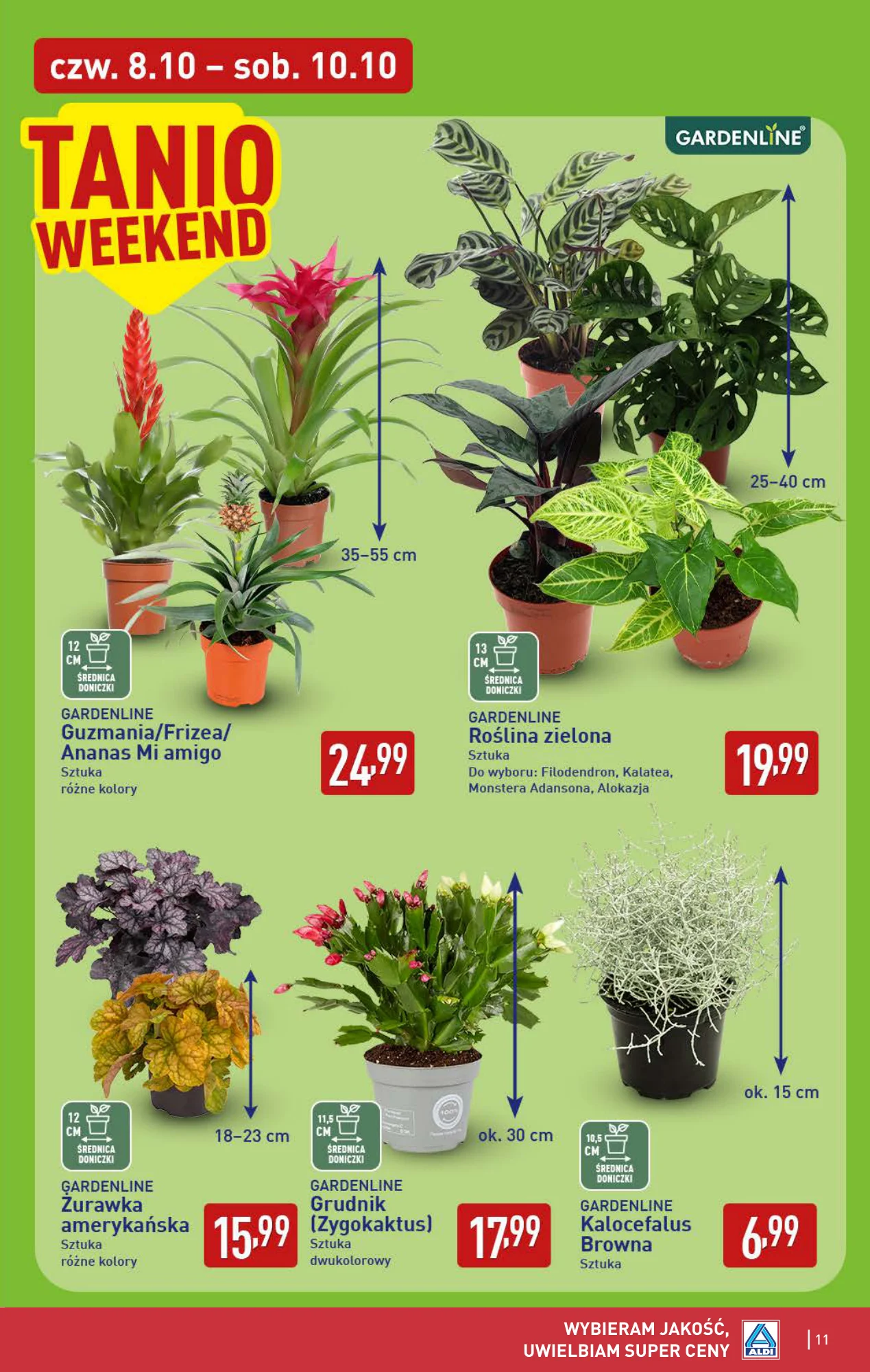 Gazetka promocyjna ALDI str. 11