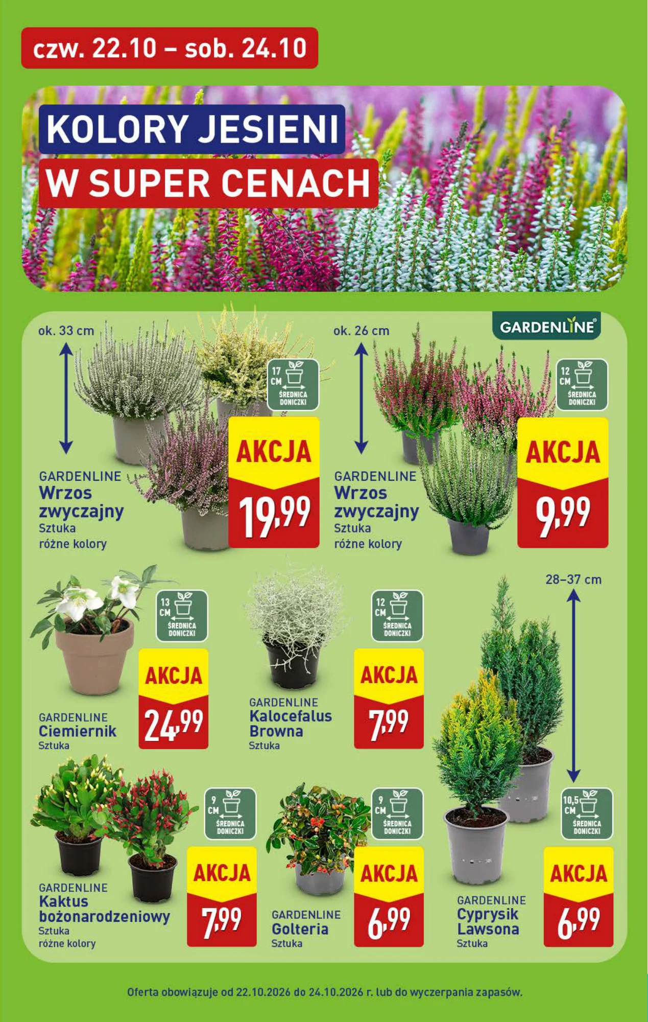 Gazetka promocyjna ALDI str. 45