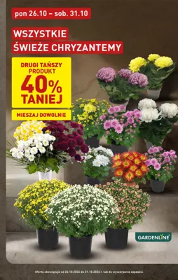Katalog Aldi