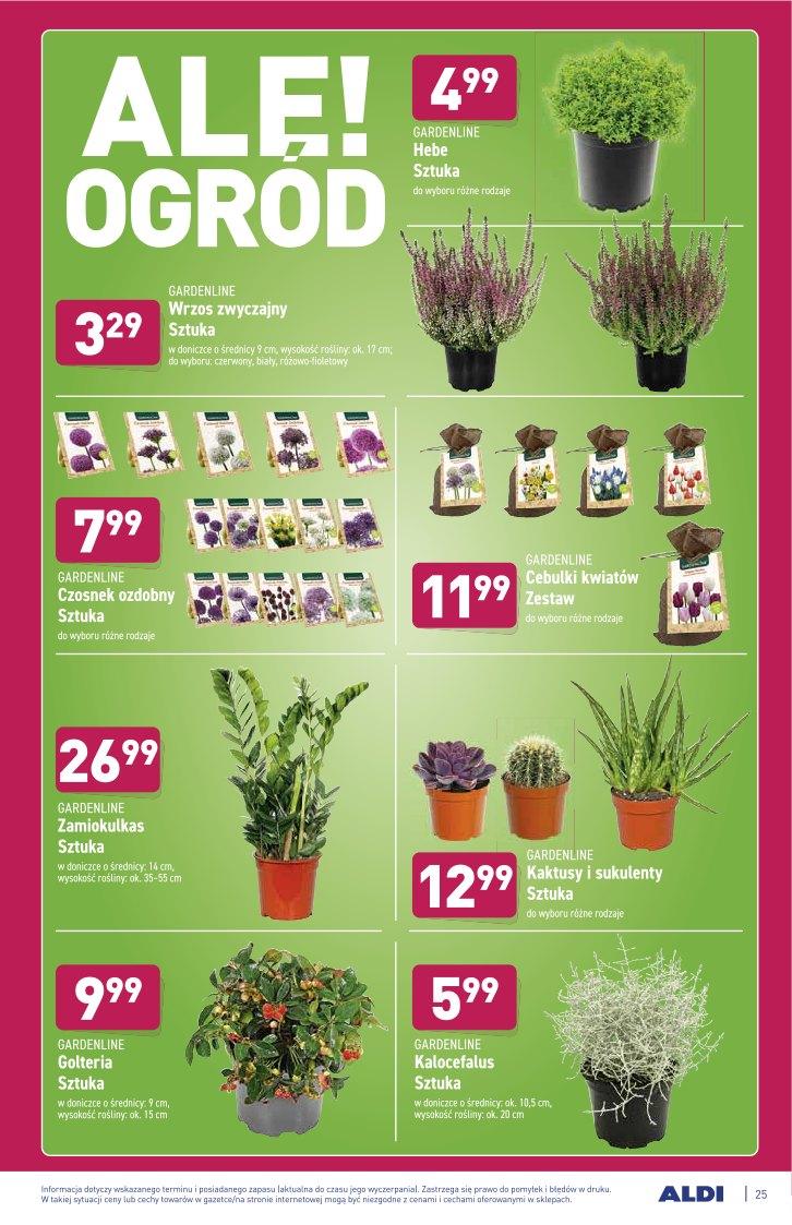Gazetka promocyjna ALDI str. 25