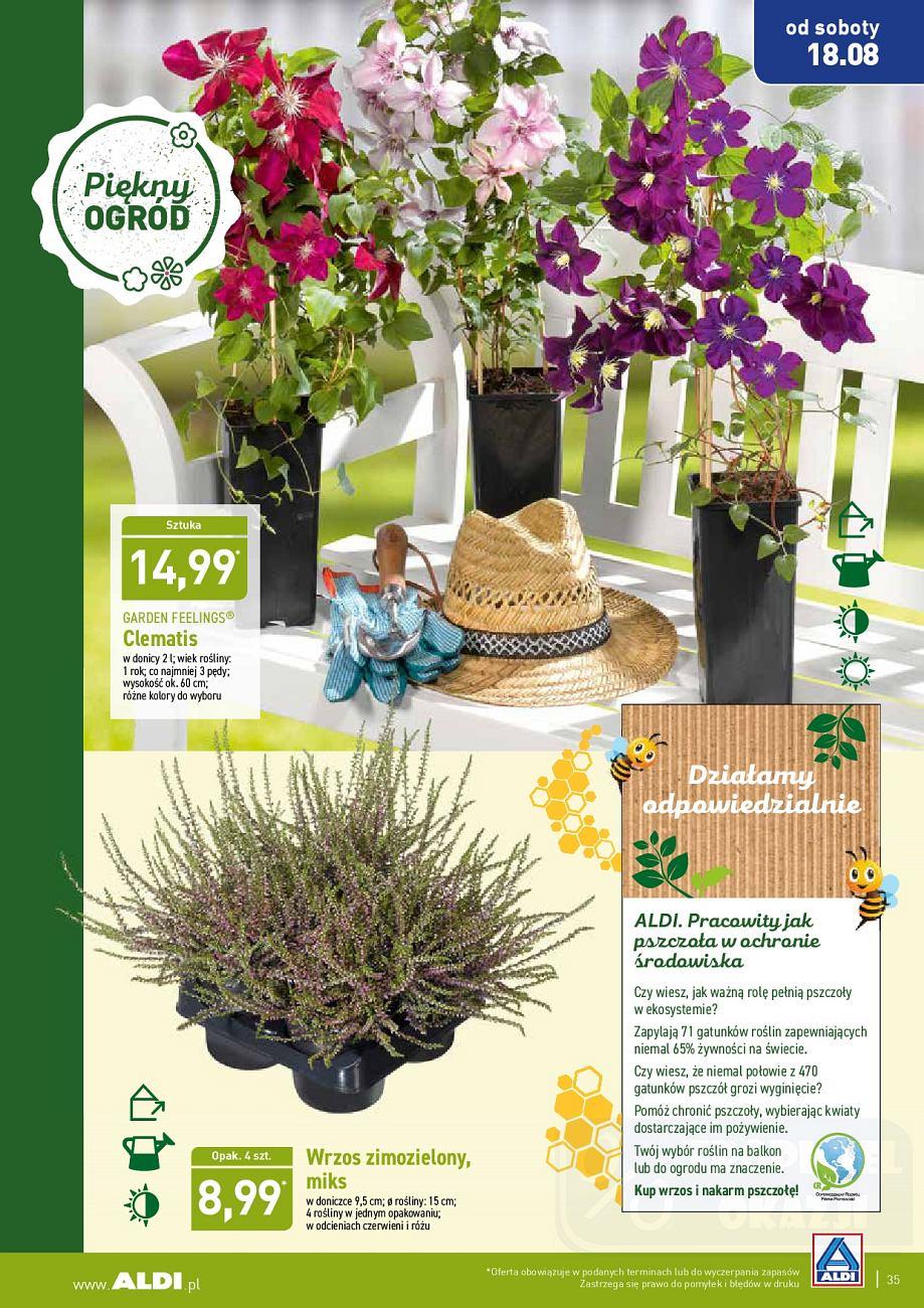 Gazetka promocyjna ALDI str. 35